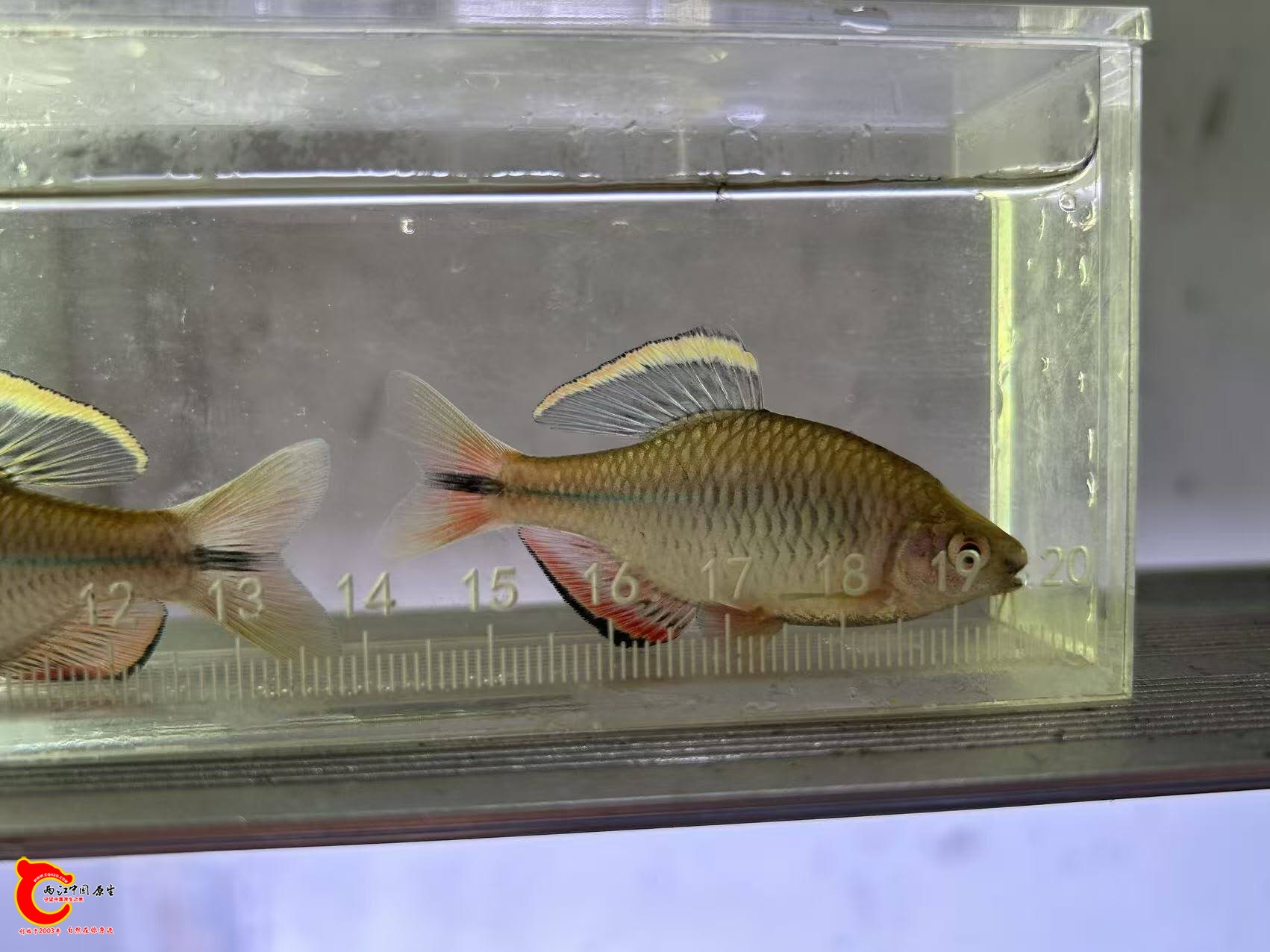 wechat_upload17616619596900d4074e6f0