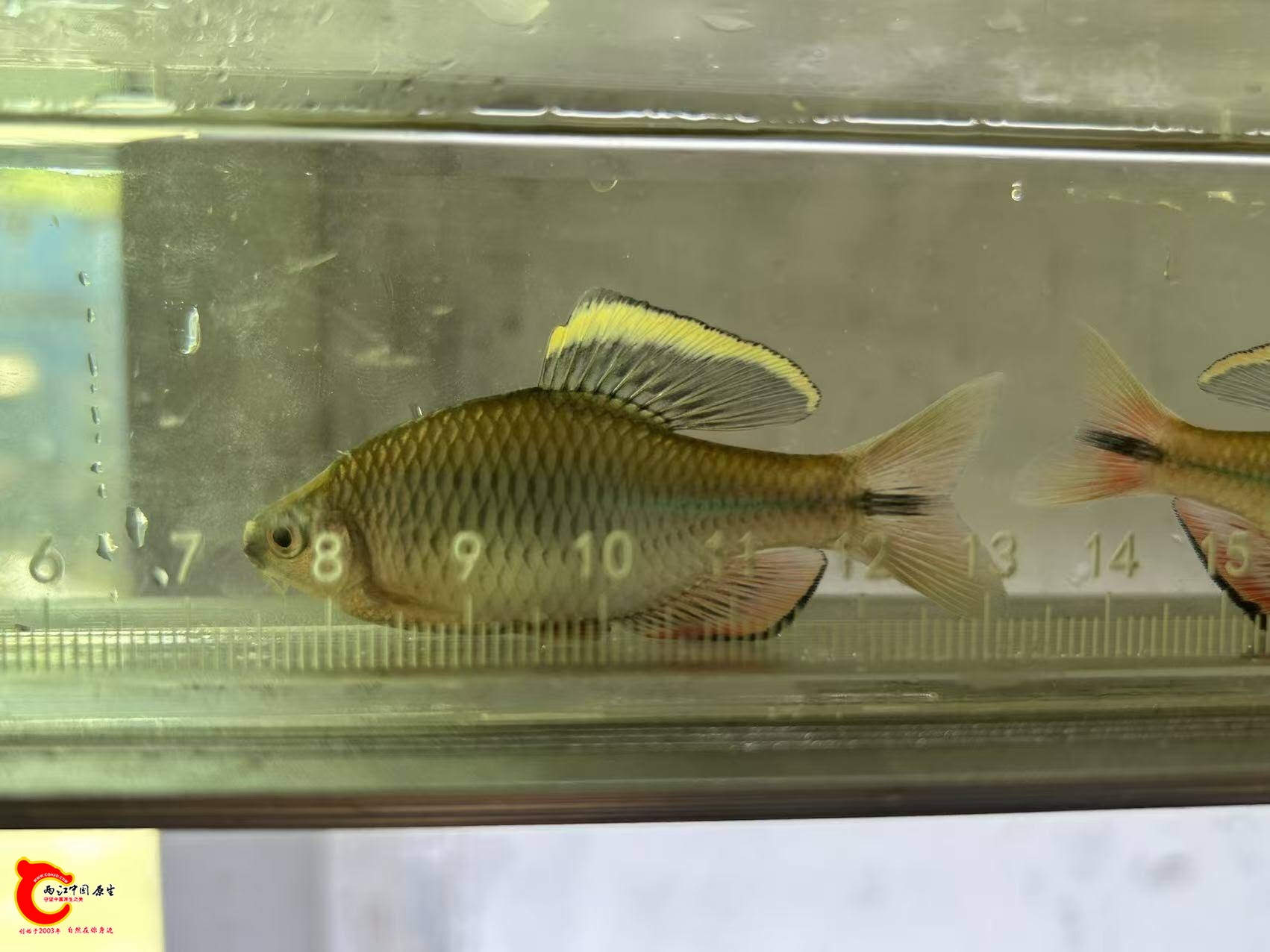 wechat_upload17616619596900d407c9831