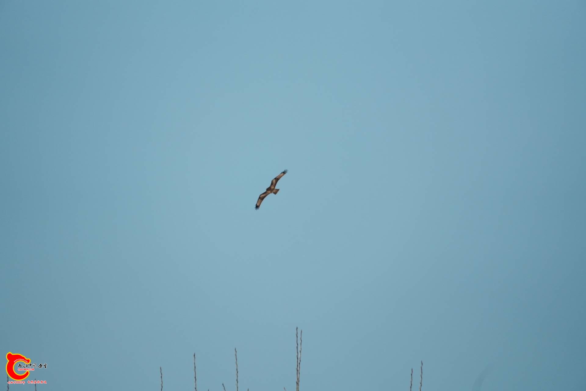 wechat_upload1768048815696248af0010a