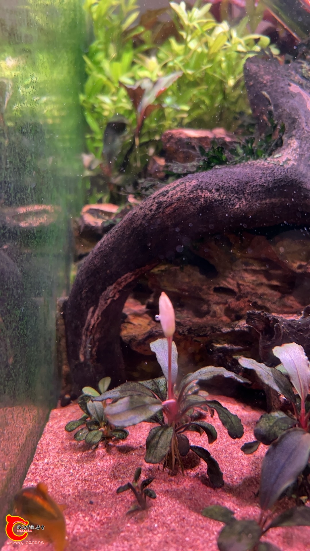 wechat_upload1770881095698d8047a3dff