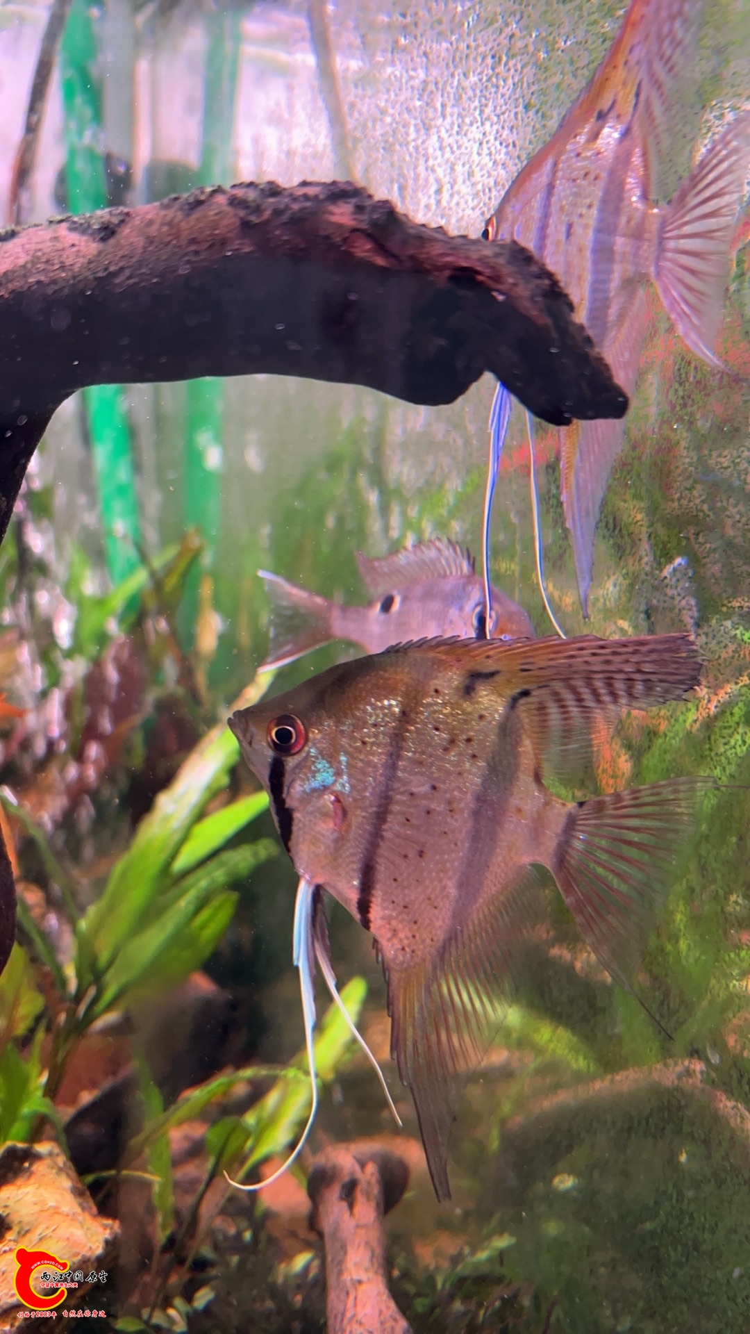 wechat_upload1770881095698d804707db3