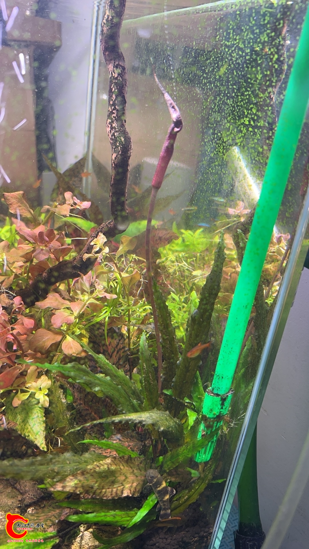 wechat_upload1770881214698d80becc732