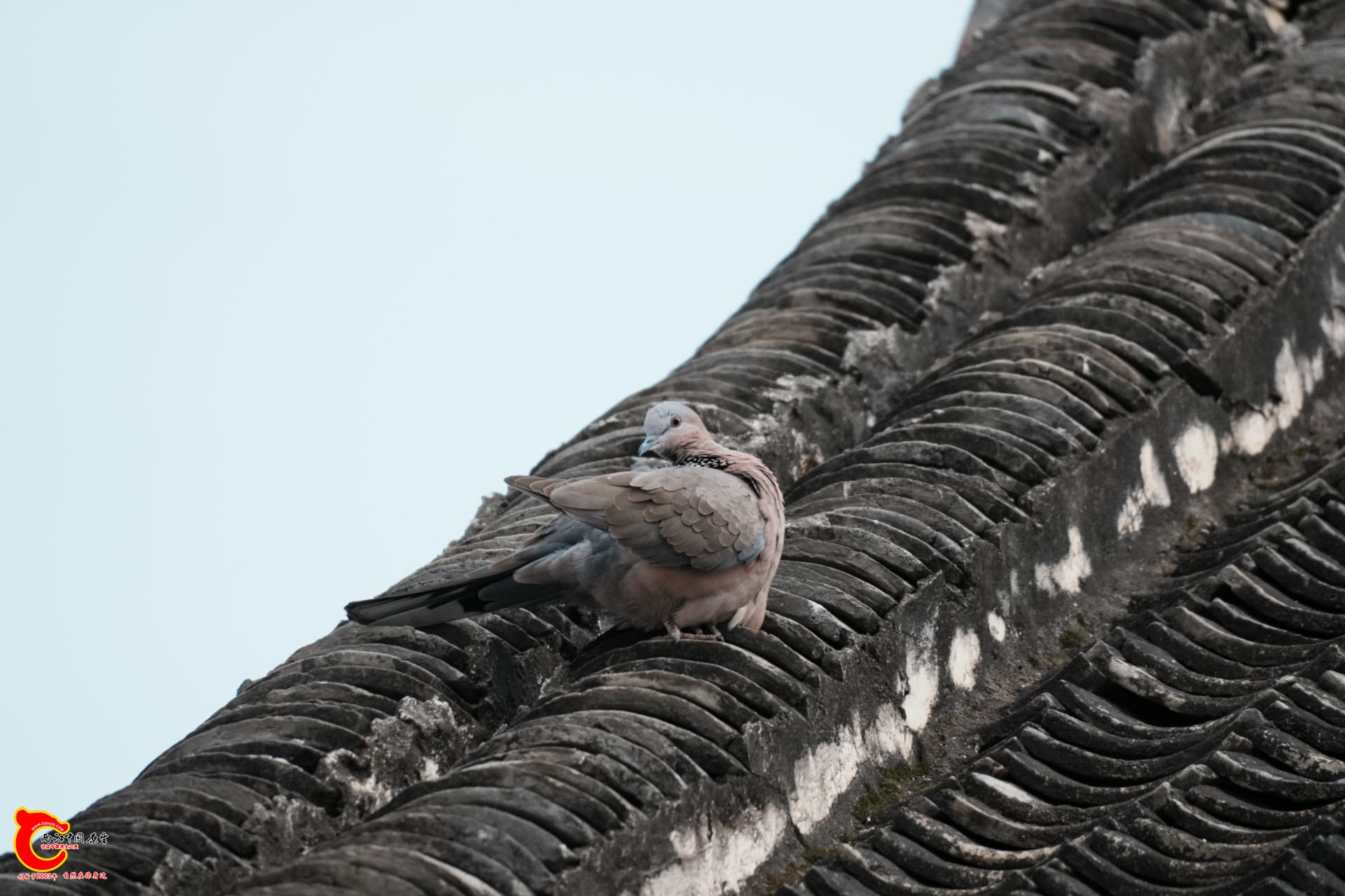 wechat_upload17712349896992e6addf28e