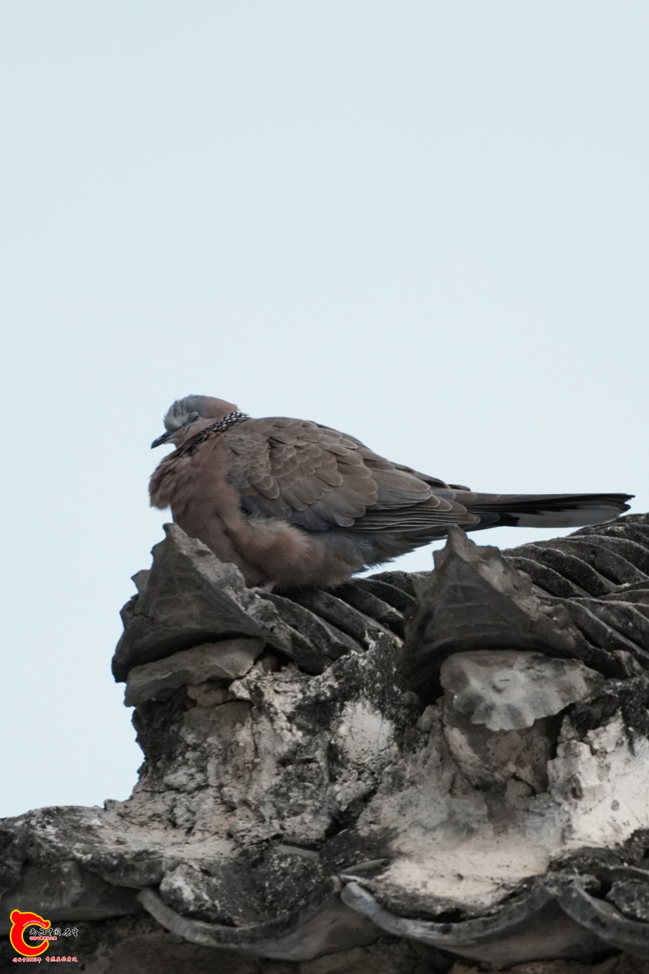 wechat_upload17712349896992e6ad5324c