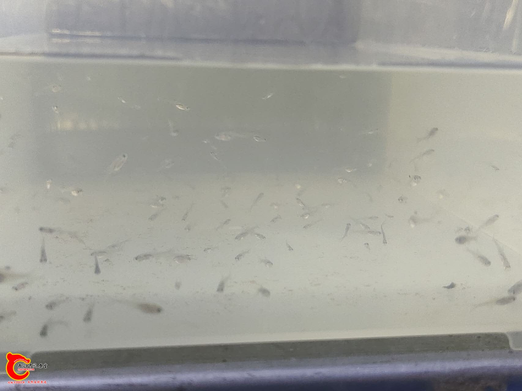 wechat_upload177229318969a30c45a92a2