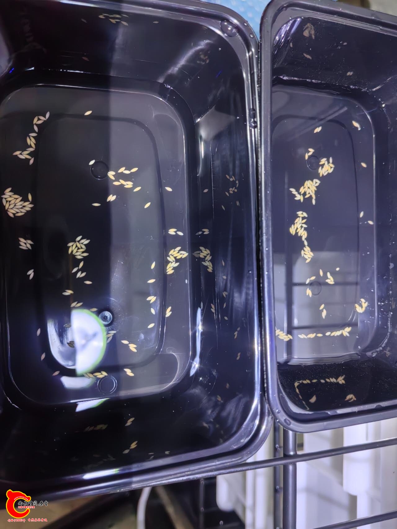 wechat_upload177229319069a30c46b2339