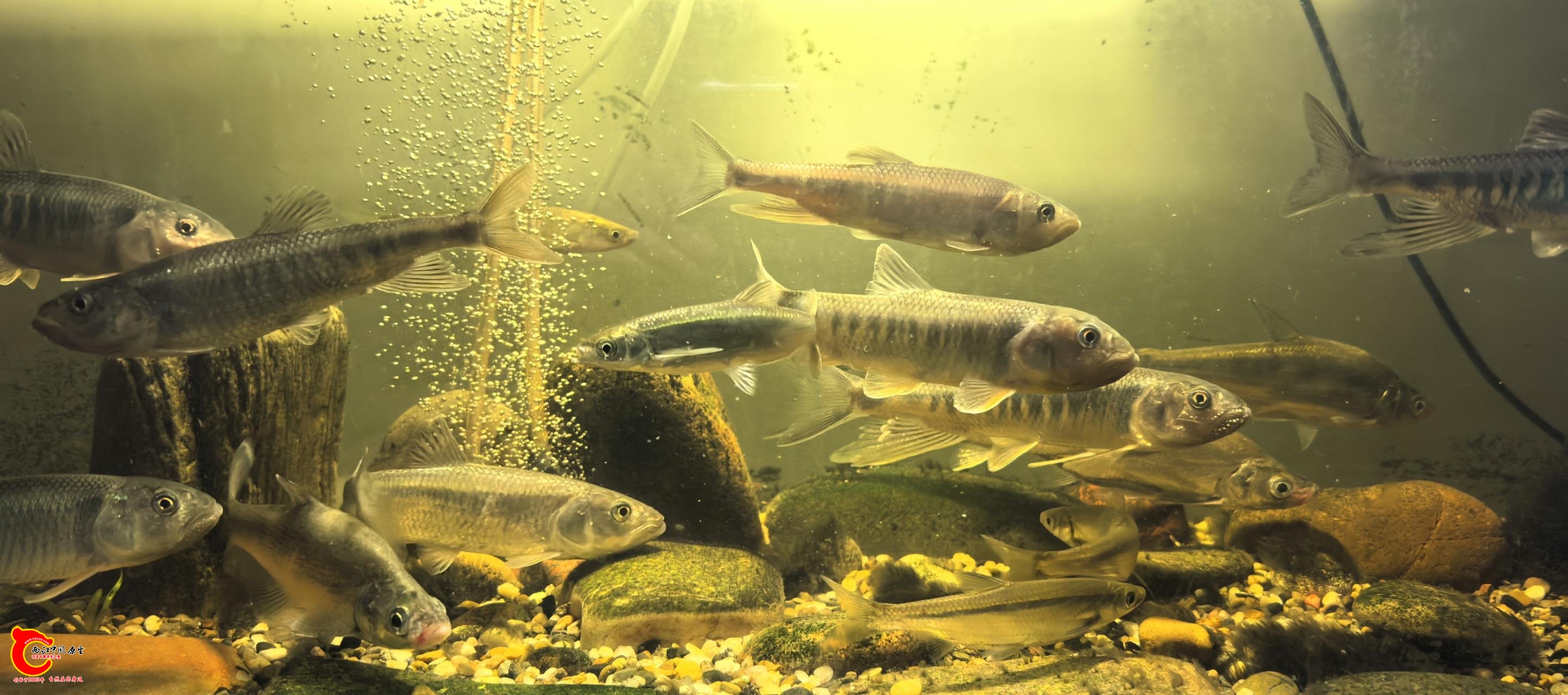 wechat_upload177548847169d3cdd7badb6