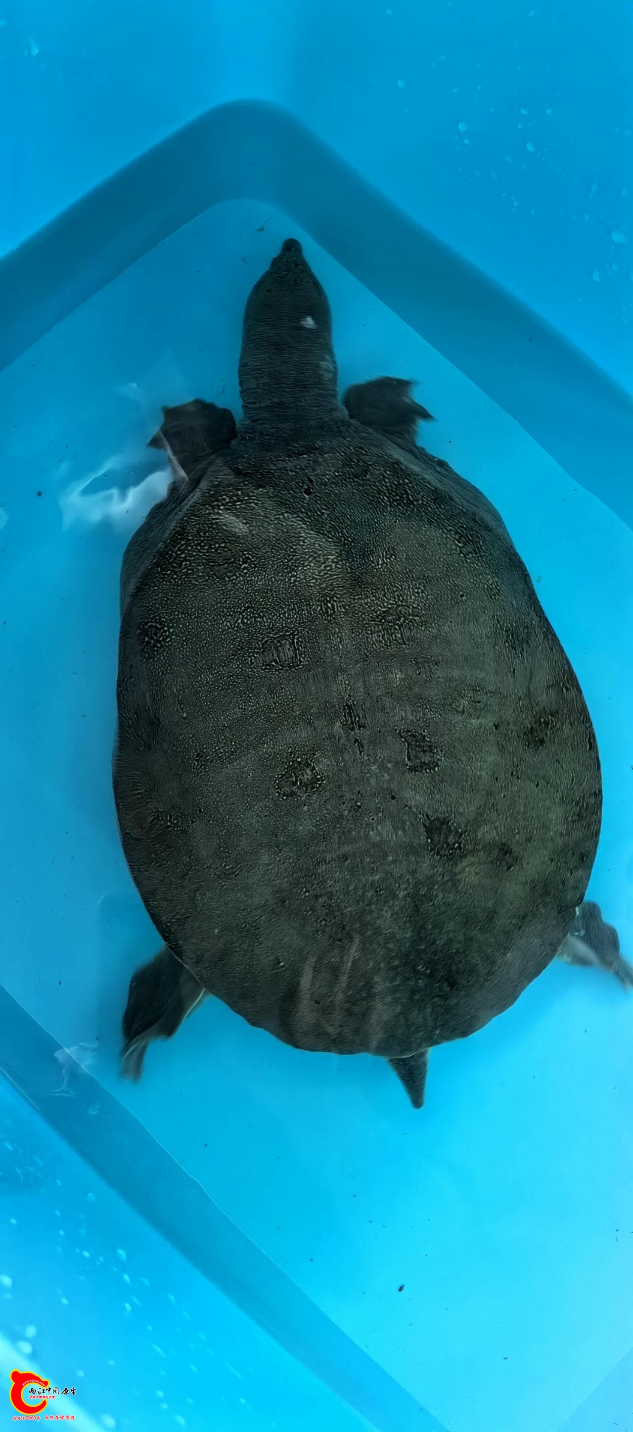 wechat_upload177548847569d3cddba6e10