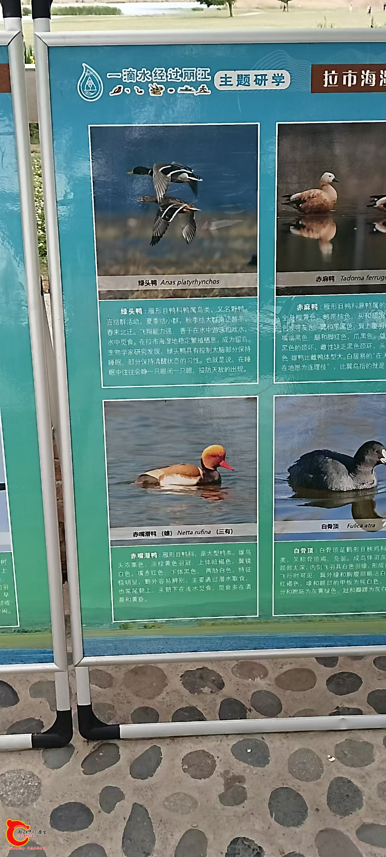 微信图片_20260503233110_16_6.jpg