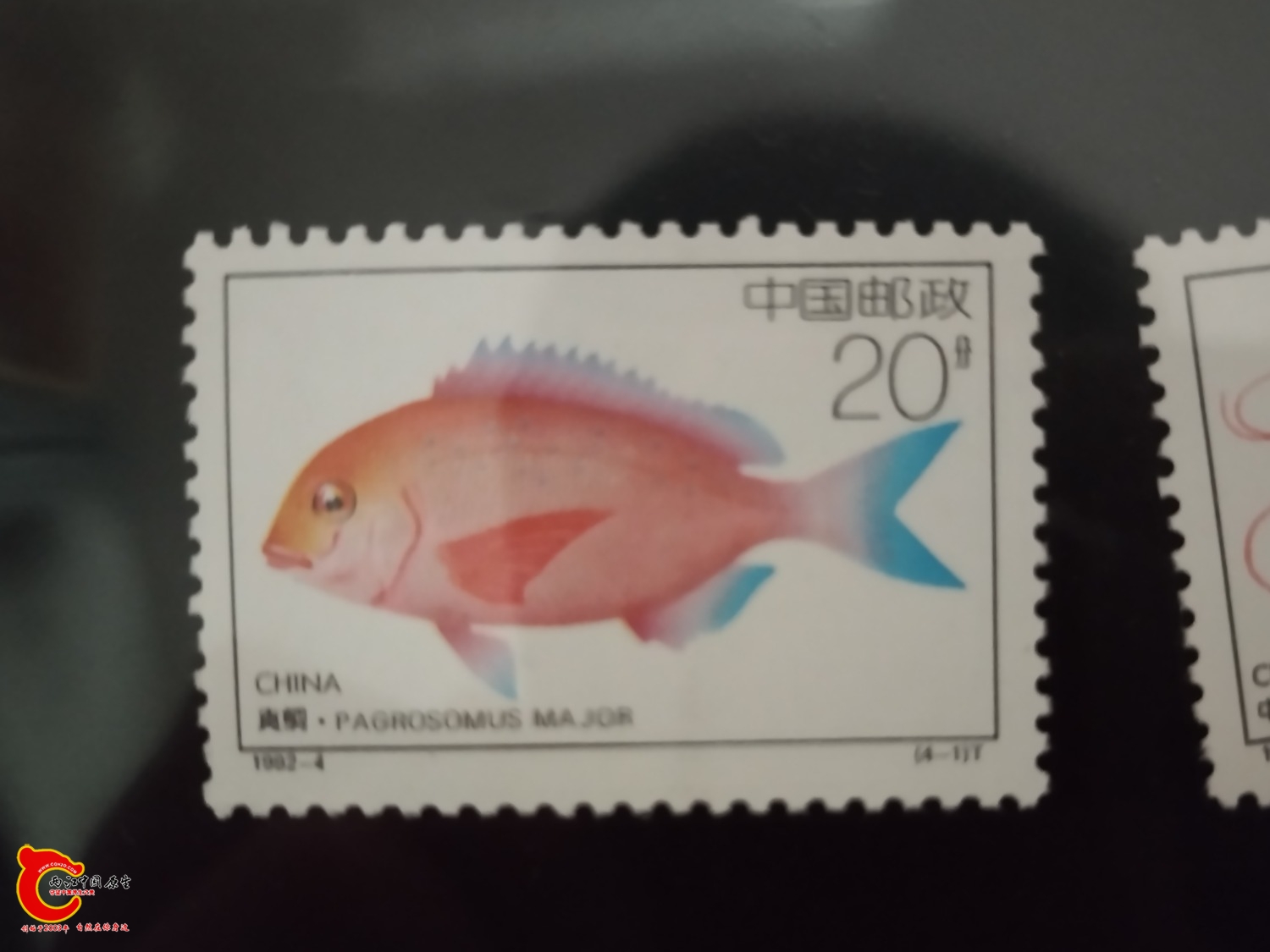 集邮系列——1992-4T《近海养殖》(4-1)真鲷
