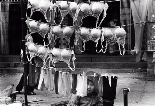 ★★中国人本 [转帖]