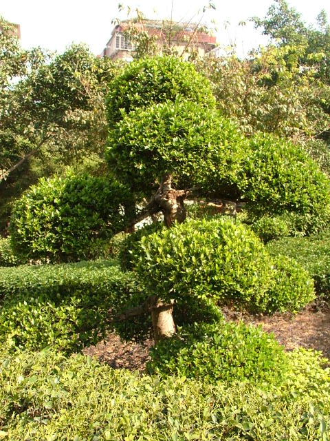 [原创]旧物市场的周边~