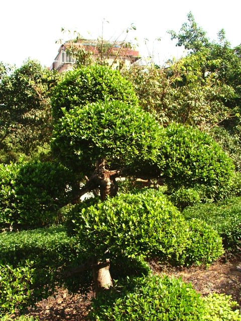 [原创]旧物市场的周边~