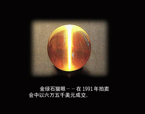 ``````````让女人看了尖叫的东西```````````