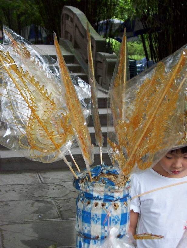 9月5日成都望江公园游记！