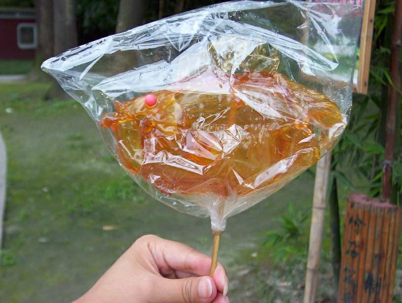 9月5日成都望江公园游记！