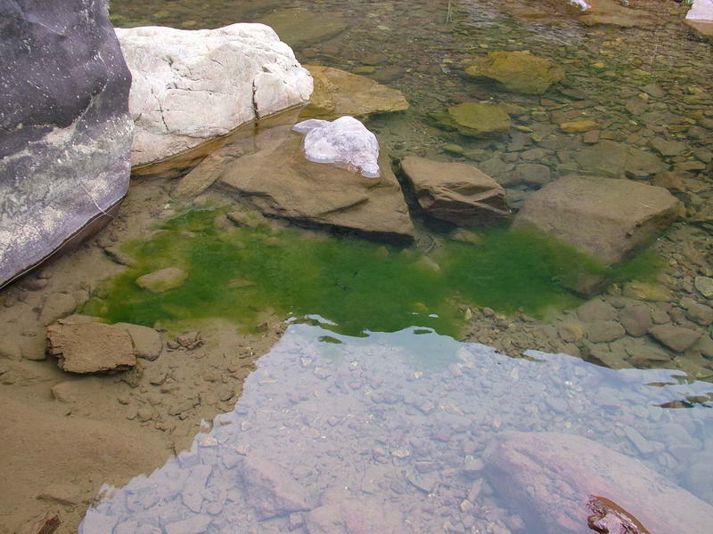 2005年——元旦游