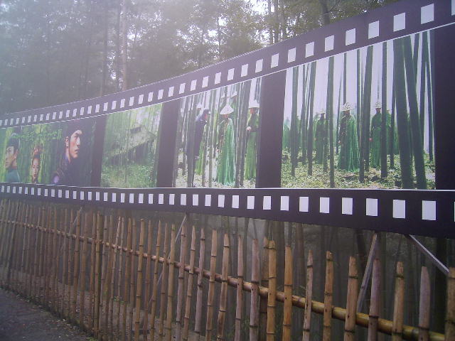 永川茶山竹海