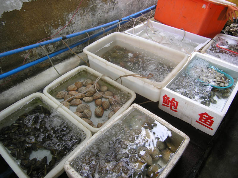 海南