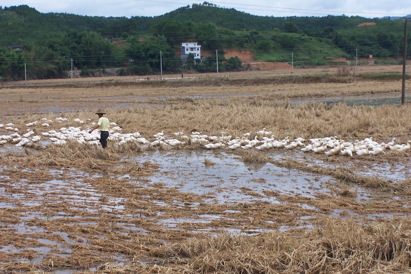 灾后的梧州，我们的工作还有很多很多……