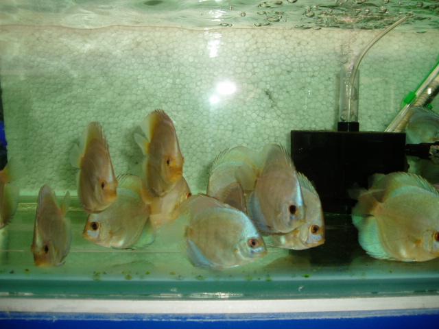 6月9日到七彩图片欣赏1