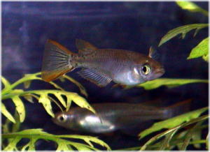 (占个位置发图)