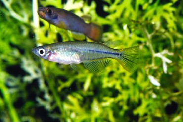 (占个位置发图)