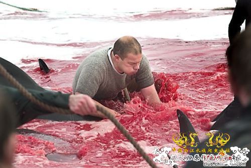 [贴图]图片血腥！！！慎入！！！！