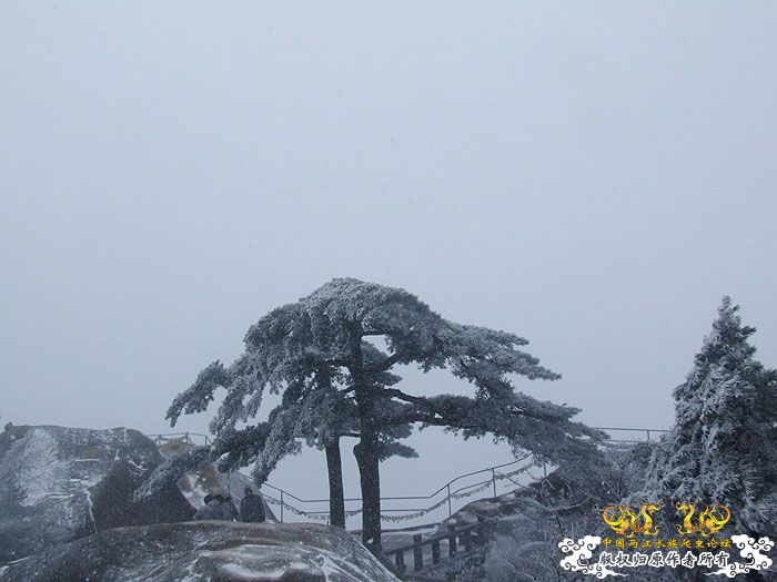 风雪黄山.............