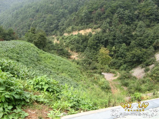 080913露营记录