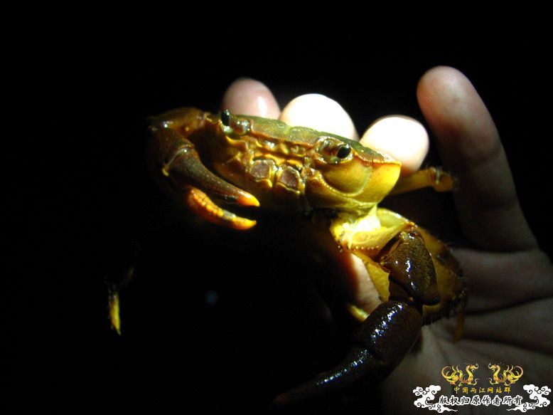 080913露营记录 080913露营记录