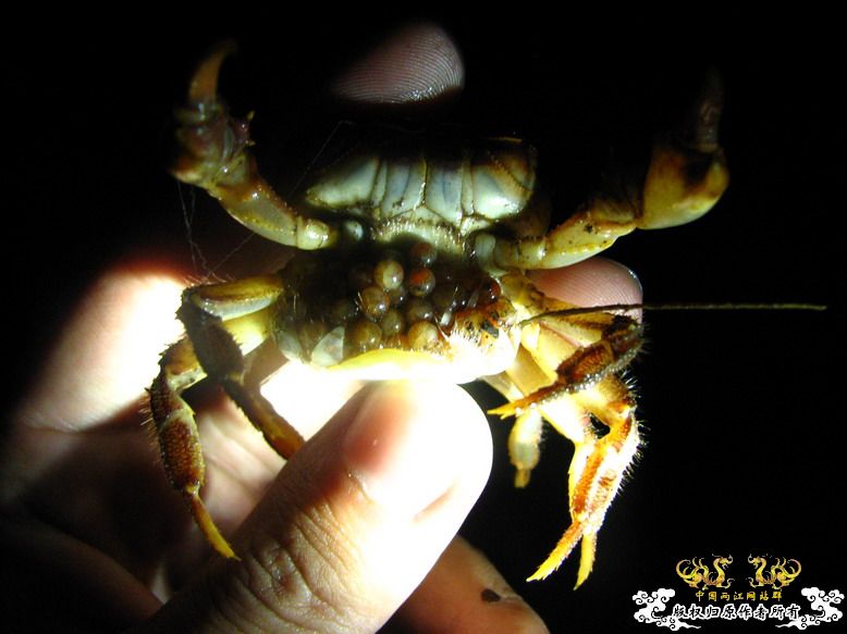 080913露营记录 080913露营记录