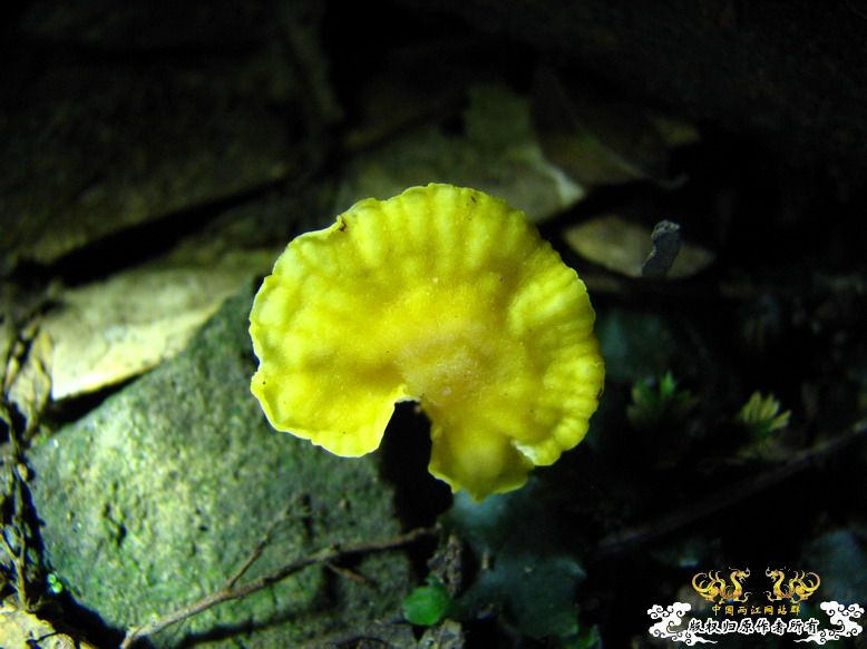 080913露营记录 080913露营记录