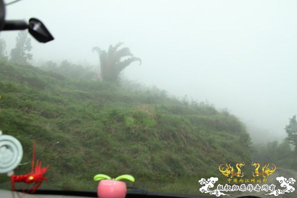 采的这些都是什么鱼啊？