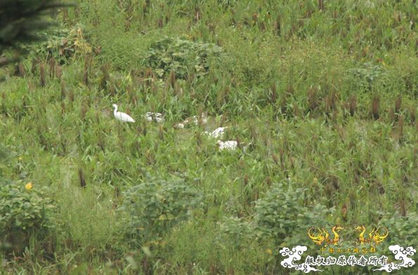 采的这些都是什么鱼啊？