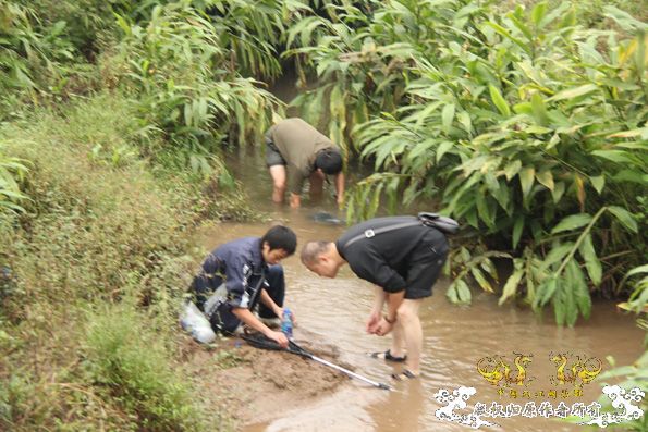 采的这些都是什么鱼啊？