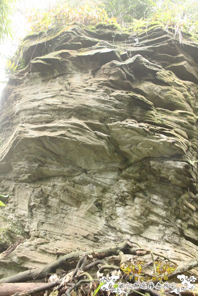 采的这些都是什么鱼啊？