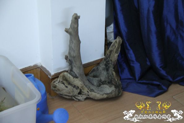 采的这些都是什么鱼啊？