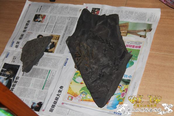 采的这些都是什么鱼啊？