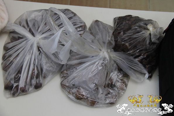 采的这些都是什么鱼啊？