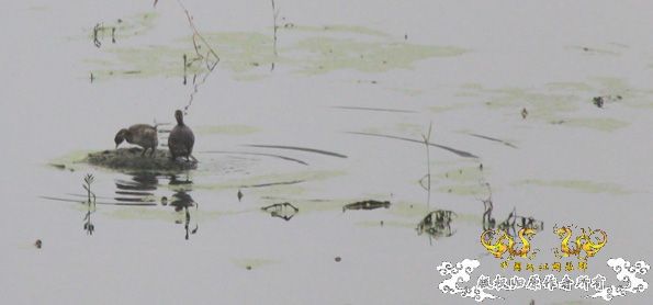 水墨山水画