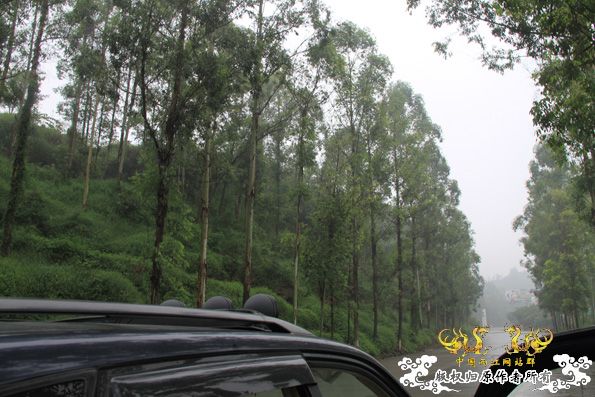 采的这些都是什么鱼啊？