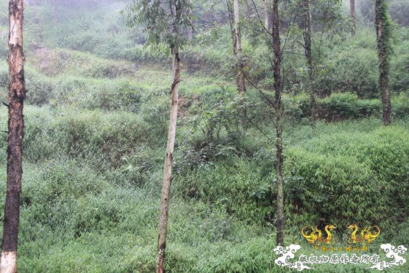 采的这些都是什么鱼啊？