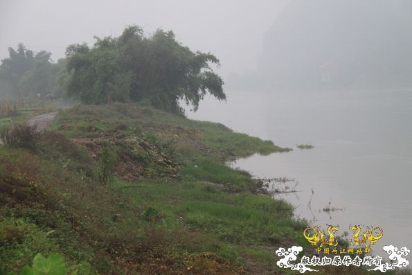 采的这些都是什么鱼啊？