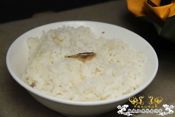 采的这些都是什么鱼啊？