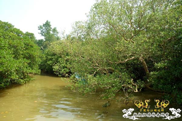 国庆游走海南-广西-贵州顺路探寻得清鱂、针鱼、塘醴等。。