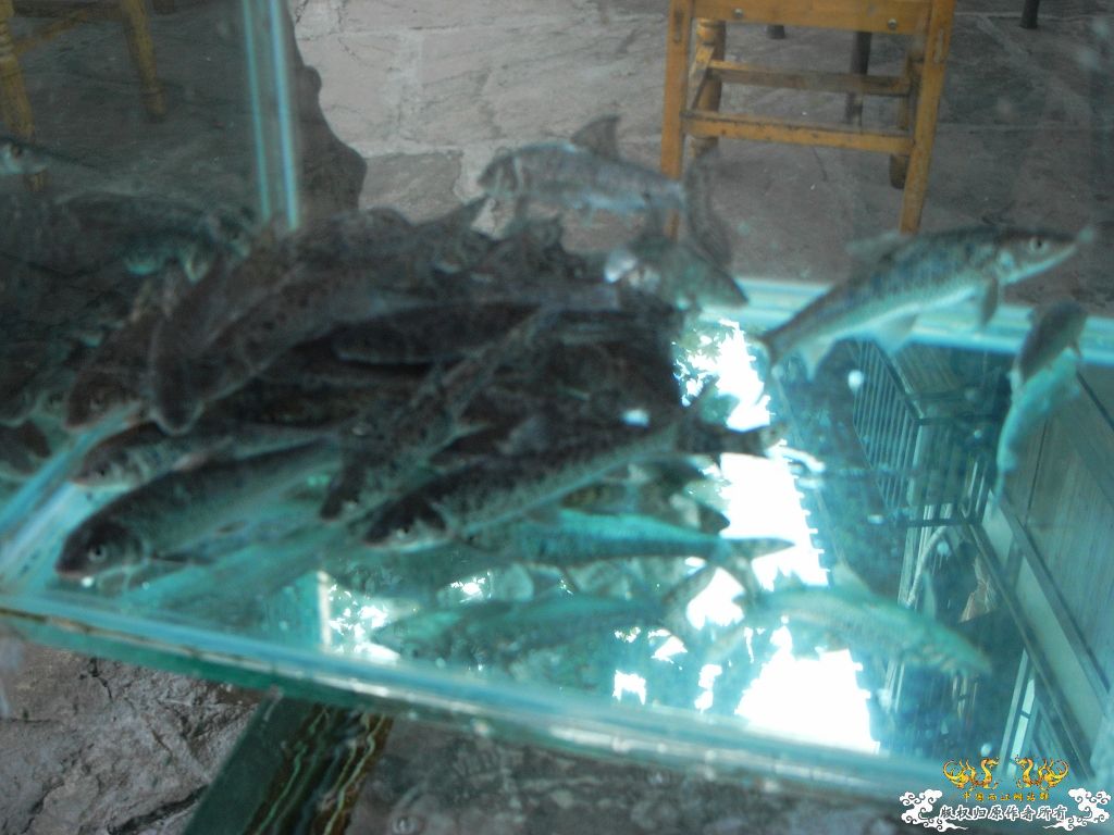 周末疯狂打劫小饭馆