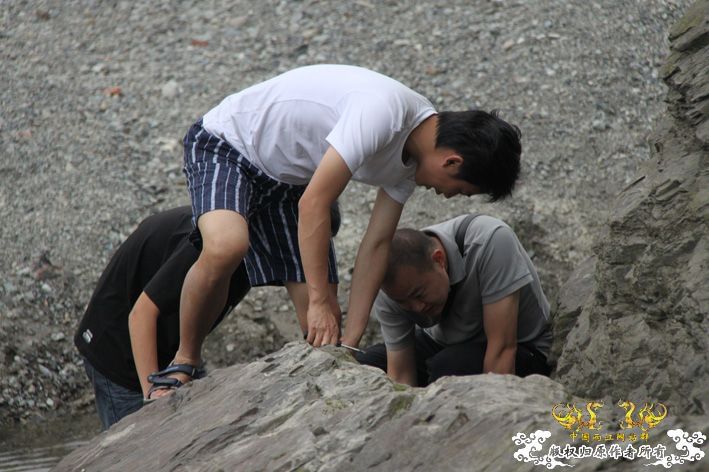 化石，要看野采化石的进来。