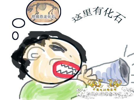 化石，要看野采化石的进来。