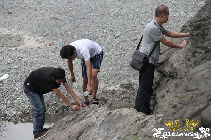 化石，要看野采化石的进来。